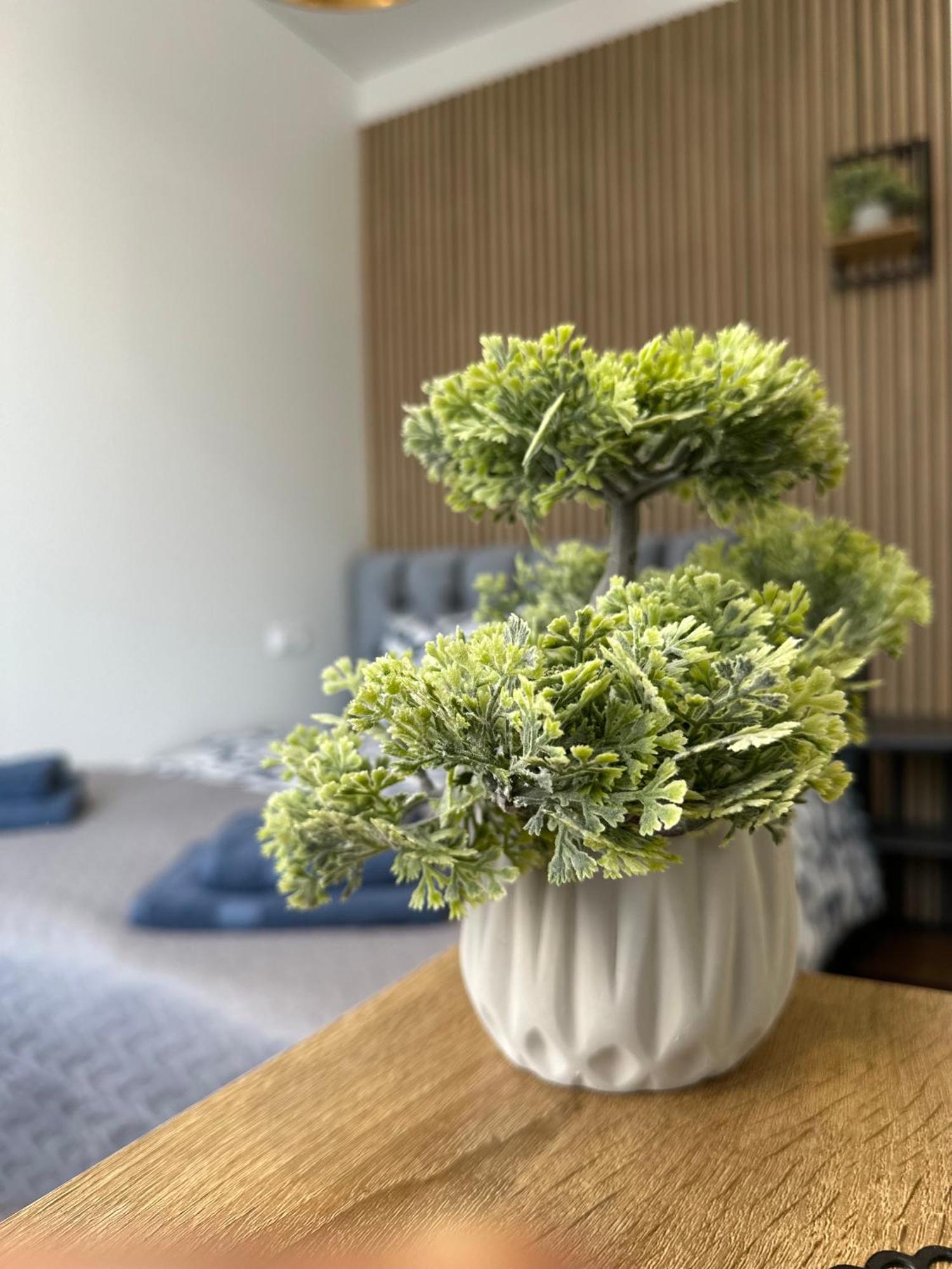 Amber Light Self-Check-In Apartments 카우나스 객실 사진